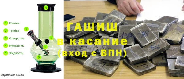 эйфоретик Белокуриха