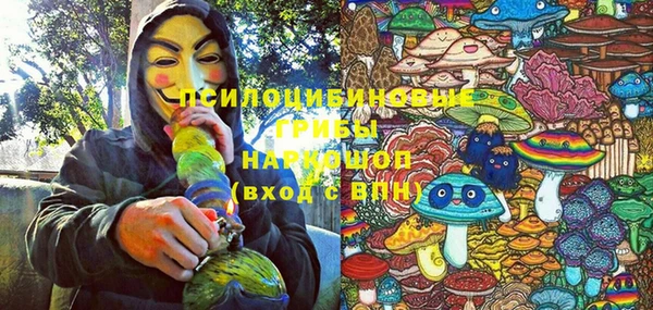 эйфоретик Белокуриха