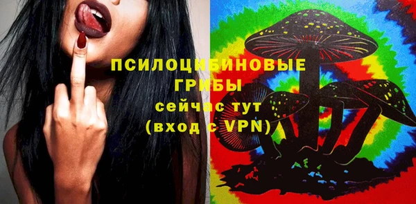 эйфоретик Белокуриха